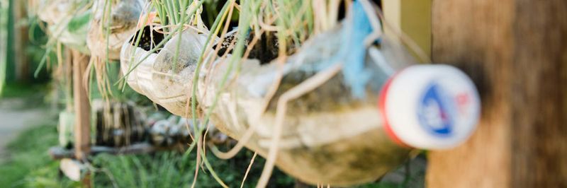 Auf den Philippinen wachsen Pflanzen in aufgeschnittenen Plastikflaschen, die außen an einem Haus hängen.