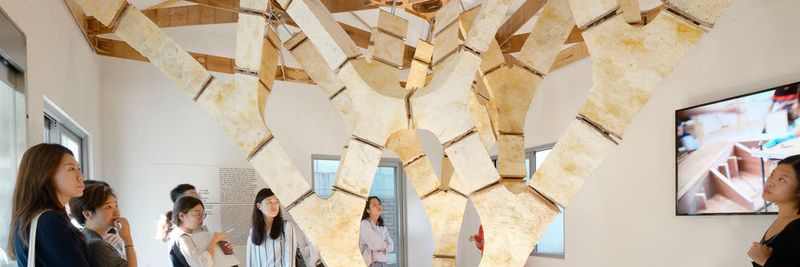 Der „MycoTree“, eine Struktur aus Pilzmyzelium und Bambus. Die Geometrie wurde mit Methoden grafischer Statik in 3D optimiert und tragfähig gemacht.