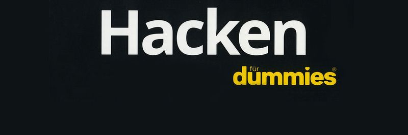 Hacken für Dummies richtet sich an Einsteiger - bietet aber auch interessante Kapitel für IT-Profis.