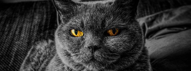 Software Defined Datacenter (SDDC) bedeutet Automatisierung; doch ohne Automatisierung kein SDDC - wo liegen sonst noch die Hindernisse? Gibt es einen Ausweg?