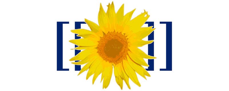 In Kombination mit einem Semantik-Plug-in eignet sich die MediaWiki-Software hervorragend für den Aufbau eines Wissenspools.