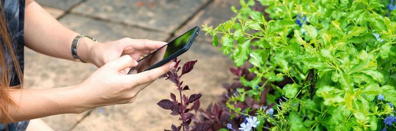 Die Anwendungsoptionen für Smart Garden sind unübersehbar.