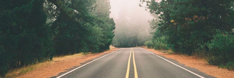 Der Weg aus dem Daten-Nebel: KI verschafft klare Sicht. Und kann noch einiges mehr.