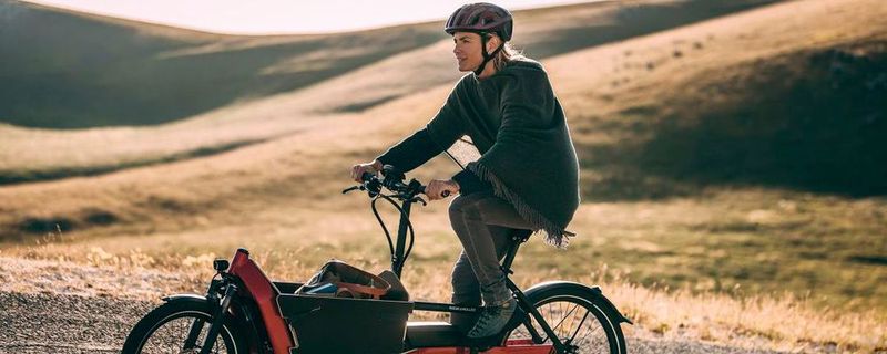 Ebenfalls kompakt und ebenfalls elektrisch angetrieben: Das Packster 40 von Riese & Müller.