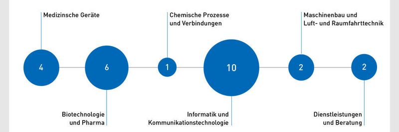2017 wurden eie meisten Spin-offs im Fachgebiet Informatik und Kommunikationstechnologie gegründet.