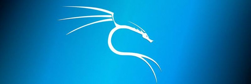 Kali Linux: Die Distribution ist vollgestopft mit Hacking-Tools, perfekt für IT-Experten und Pentester.