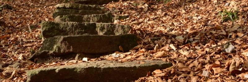 Der Weg bis zum erfolgreich realisierten IoT-Projekt ist oftmals rau. Stolpersteine erschweren die Zielerreichung und mindern die Erfolgschancen.