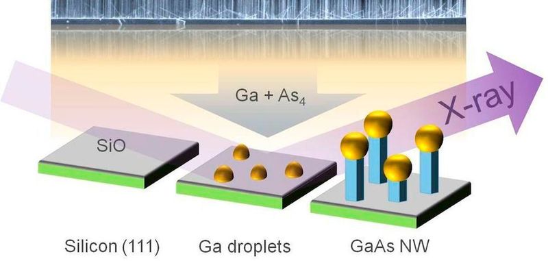 Untersuchungsprinzip: Auf einem Siliziumträger wachsen durch den Beschuss von Gallium-Tröpfchen mit Gallium und Arsen kleine dünne Nanodrähte. Das Wachstum lässt sich mit Röntgenstrahlung (X-ray) live verfolgen. Abschließend wurden die Nanodrähte mit dem Elektronenmikroskop untersucht (Hintergrund).