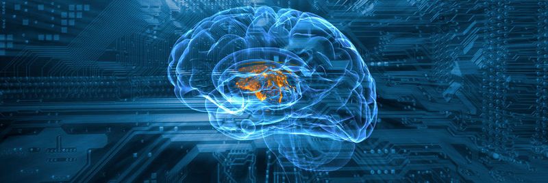 TensorFlow, das Framework für die Programmierung Neuronaler Netze, basiert auf einem C++ Low Level-Backend, das über eine Python-Bibliothek gesteuert wird und sich sowohl auf CPU als auch GPU (Clustern) ausführen lässt. TensorFlow ermöglicht eine Darstellung von beliebigen Neuronalen Netzen durch gerichtete zyklenfreie Graphen, die auf verteilten Computer-Systemen abgebildet werden können.