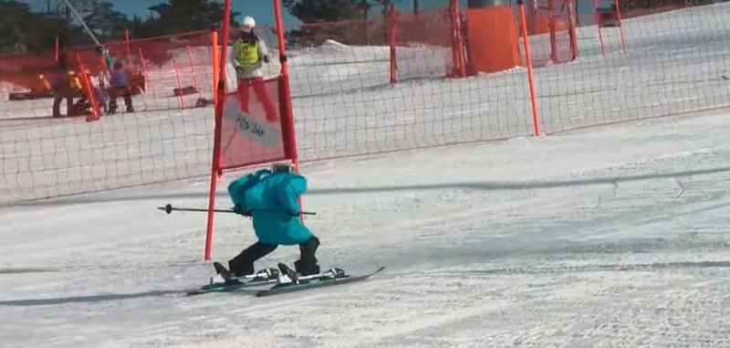 Roboter auf der Skipiste: eine Stunde von den Schauplätzen der olympischen Winterspiele im südkoreanischen Pyeongchang entfernt fand im Welli Hilli Ski Resort das erster Roboter-Skirennen statt.