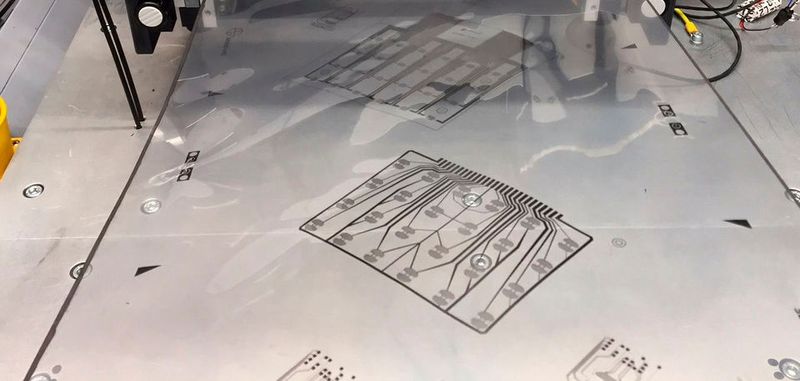 Endlosfolie mit gedruckten Biosensoren: Fraunhofer-Forscher haben ein günstiges Rolle-zu-Rolle-Verfahren mit Graphen entwickelt.