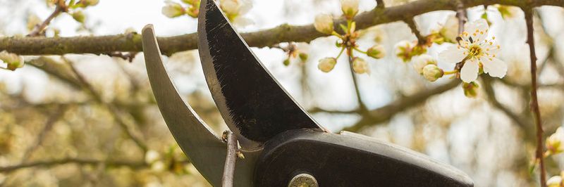 Mitel, ein Anbieter von Unternehmenskommunikation, hat die Verträge mit drei seiner fünf Distributoren gekündigt und einen neu hinzugewonnen.