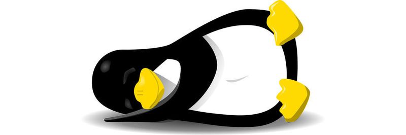 Damit auch Linux-Anwender wieder ruhig schlafen können, soll das System mit Kernel-Version 4.16 sicherer gegenüber den Prozessor-Sicherheitslücken Meltdown und Spectre werden.