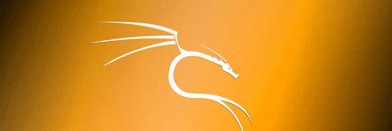 Mit Kali Linux lassen sich potentielle Lücken in Servern schnell aufspüren.