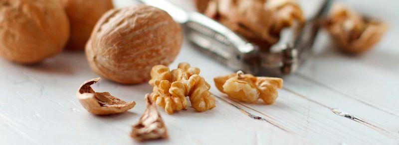 Durch regelmäßigen Walnussverzehr verbessert sich nicht nur der Cholesterinspiegel im Blut, sondern auch die Darmflora.