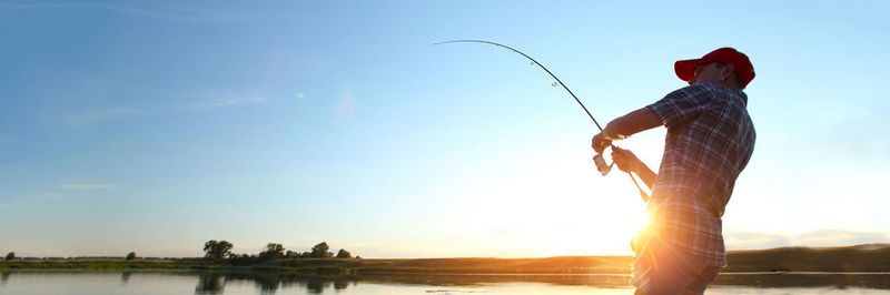 Mit dem richtigen Köder beißt jeder Fisch an, heißt es unter Anglern. Dasselbe gilt auch für die Opfer von Phishing-Kampagnen.