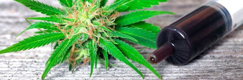 Cannabisöl in Spritze