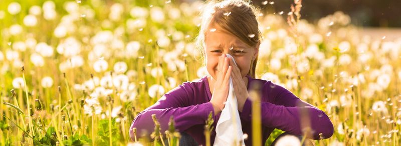 Frühjahrszeit ist Pollenzeit - doch die Erforschung von Allergien läuft das ganze Jahr über.