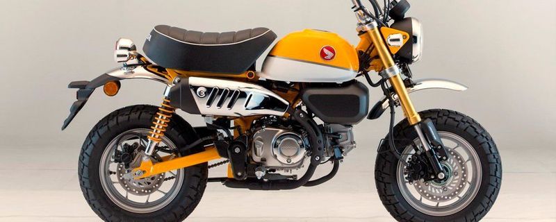 Die Honda Monkey ist zurück.