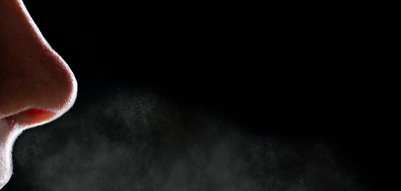 „Wir haben uns die biologische Nase als Vorbild genommen“, sagt Dr. Martin Sommer, der das Projekt smelldect am Institut für Mikrostrukturtechnik des KIT betreut.