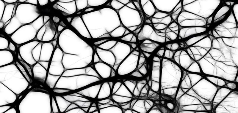 Neuronale Netze: Startup Mythic will die Herausforderungen der Künstlichen Intelligenz durch In-Memory-Processing lösen.