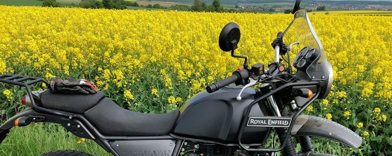 Ein Bike im Rapsfeld: Royal Enfield Himalayan.