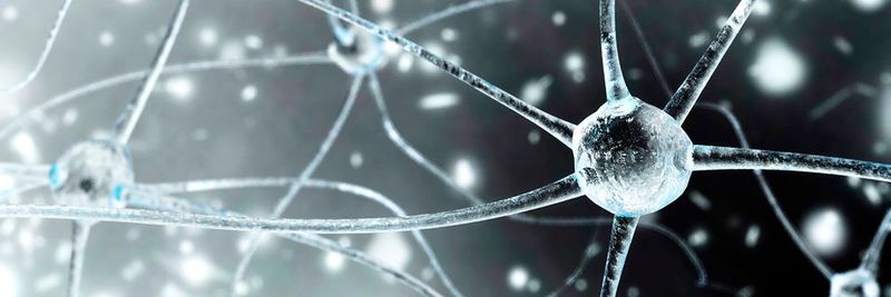 Das Open Source Deep Learning Framework Caffe zeichnet sich durch seine Schnelligkeit aus.
