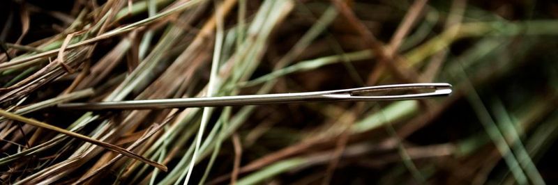 Die Suche nach Fachkräften wird langsam zur Suche nach der Nadel im Heuhaufen.