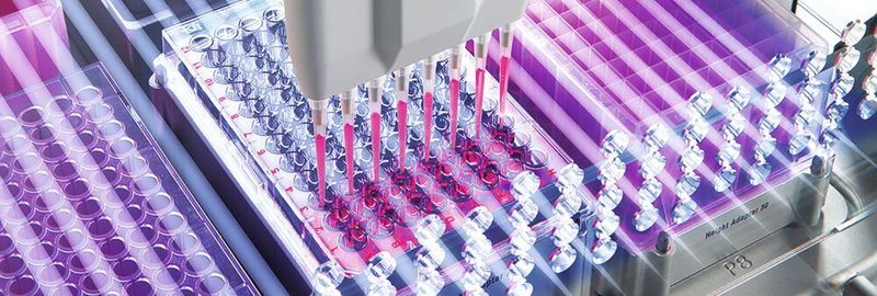 Abb.1: Die Liquid Handling Station kann mit Ein- oder Mehrkanalmodulen ausgestattet werden.