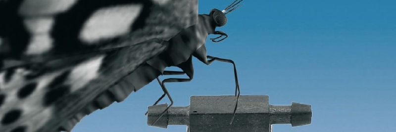 Die Differenzdrucksensoren im Standard SOIC-Gehäuse sind mit horizontalen (Bild) oder mit vertikalen Stutzen erhältlich.