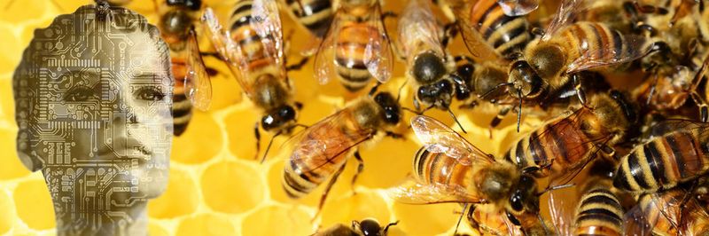 Security-Experten finden immer neue Einsatzgebiete für künstliche Intelligenz im Bereich der Erkennung und Abwehr von Cyber-Attacken, wie zum Beispiel bei speziellen Honeypots.