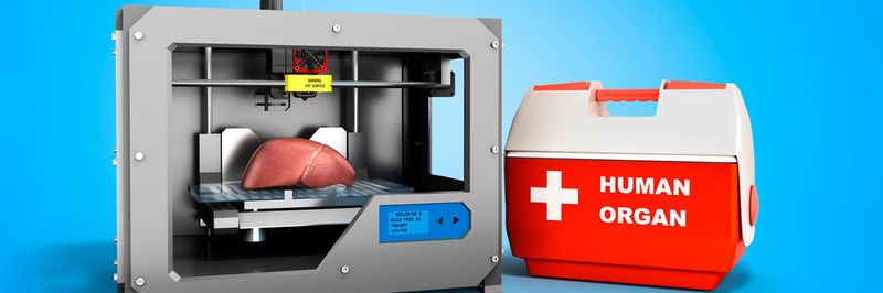 Wenn Organe aus dem 3D-Drucker kommen, könnten Organspenden und vor allem die langen Wartezeiten bald passé sein.