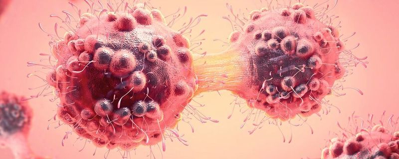 Fig. 1 3D illustration of a cancer cell in the process of mitosis