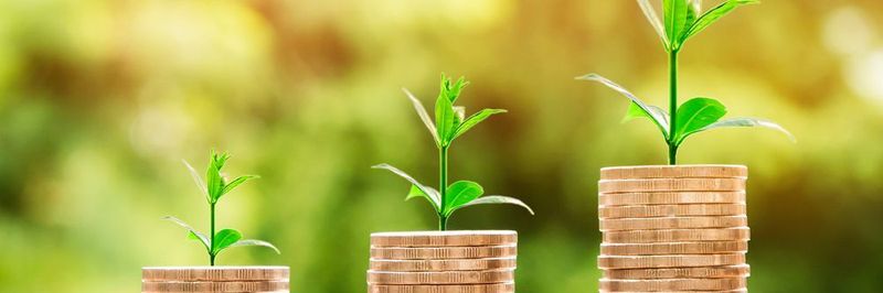 Das Marktforschungs- und Beratungsunternehmen IQITS gibt Tipps, wie auch kleinere Systemhäuser im internationalen Wettbewerb bestehen können.