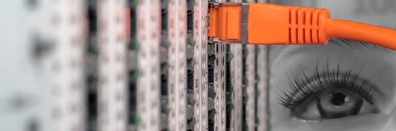 Security, Cloud und Customer Relations sind der Studie zufolge die Zukunftsthemen der IT-Abteilung.