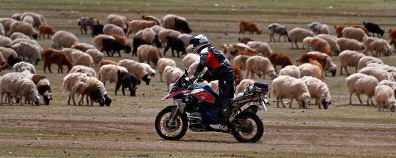 Die wunderschöne Kulisse Mongoliens begeistert auch nach Tag 5 noch alle Teilnehmer.