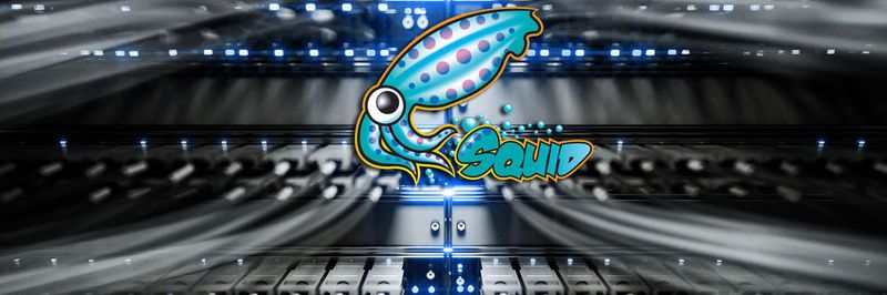 Squid ist ein Open-Source-Proxy auf Linux-Basis der auch für große Netzwerke geeignet ist.