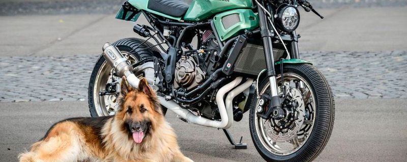 Yamaha-Klein hat eine XSR 700, für das legendäre Punk’s Peak Rennen auf dem Wheels and Waves Festival in Frankreich, umgebaut.