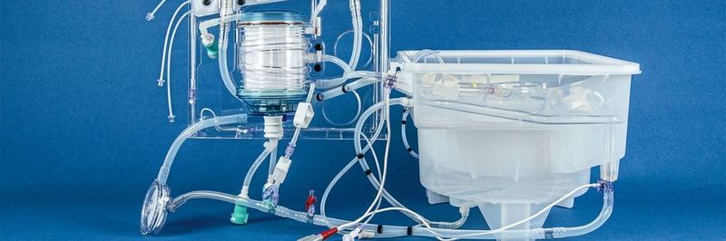 Das komplexe Schlauchset von Raumedic ist integraler Bestandteil von Metra. Denn im Gesamtsystem hilft es dabei, Spenderlebern für bis zu 24 Stunden „ex vivo“, also außerhalb des Körpers, künstlich zu durchbluten.