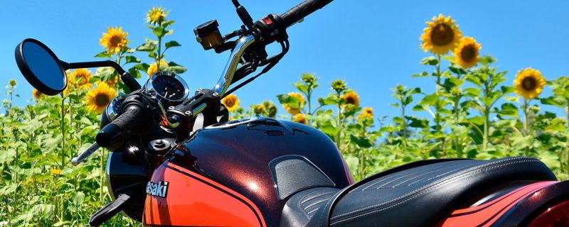 Die Retro-Ikone aus den Siebzigern in ihrer neualten Version Z 900 RS von Kawasaki ist auf dem deutschen Markt schon so gut wie ausverkauft.