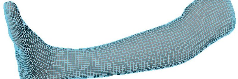 Digitalmodell eines Unterschenkels, erstellt mit dem 3D-Scanner Artec Eva.