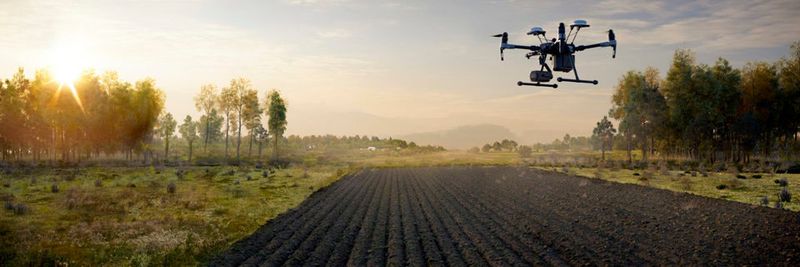 Eine DJI-Drohne fliegt über Farmland.