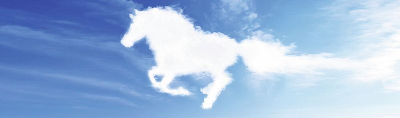 Mit einer Multi-Cloud-Strategie will NetApp allen anderen Storage-Firmen davongaloppieren.
