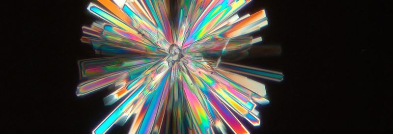 The photograph shows honey crystals under polarized light. It was taken with ZEISS Axio Imager.Z1. Some food components are birefringent, including starch, fats, plant cell walls, muscle fibres and many flavouring ingredients. Crystalline materials of this kind can be imaged particularly well using polarization contrast.