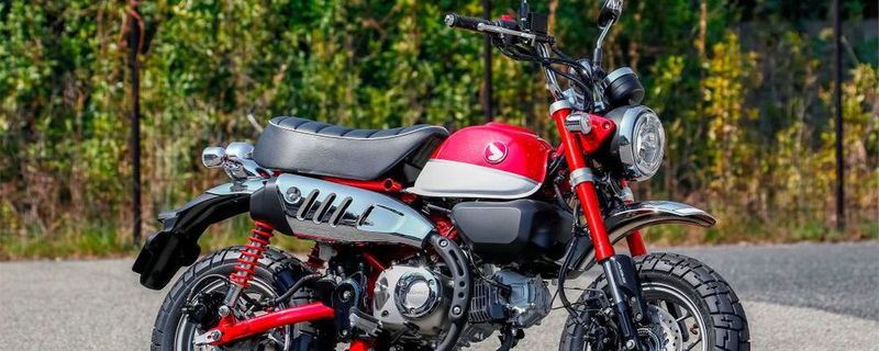 Ein wenig zugelegt hat die Honda Monkey in den letzten 40 Jahren, aber das geht ja manchem so im Laufe der Zeit.