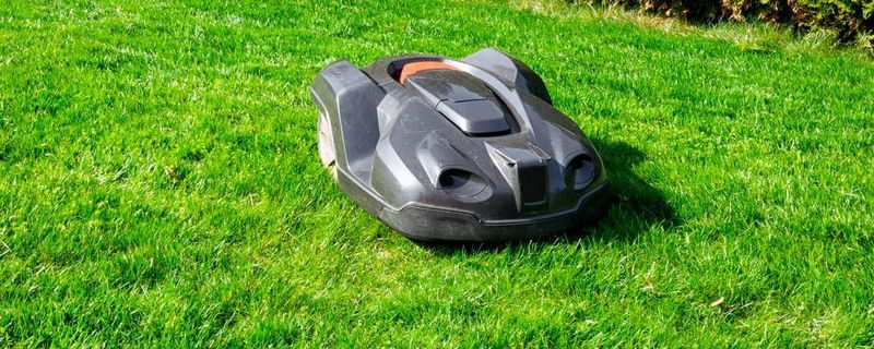 Mähroboter sind nicht nur praktisch, sondern auch gefährlich – insbesondere für Kleinkinder.