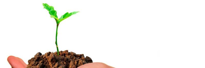 Deutschland ist weiterhin beliebt bei Startup-Gründern.