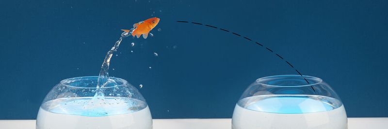 Die richtige Wahl der Cloud-Plattform ist ein entscheidender Faktor für eine erfolgreiche Migration.