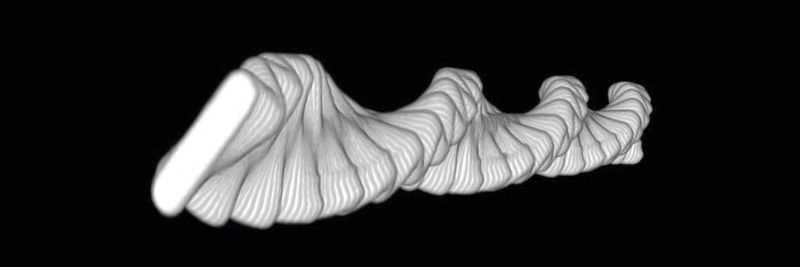Eine 3D-Spirale, die durch die Kombination von experimentellen Bildern des Rührfischs über einen Zeitraum von 1 s beim Schweben entsteht. Sie zeigt die Dynamik des Schwebeverhaltens, die sich aus niederfrequentem Drehen und hochfrequentem Schwingen zusammensetzt.