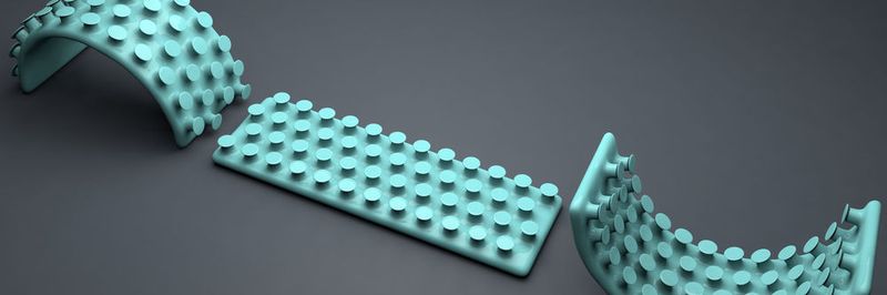 Unterschiedlich gekrümmt verändert sich die Haftwirkung des Silikonmaterials, dessen Oberfläche pilzkopfartig strukturiert wurde. Nach innen gebogen (konkav) ist die Haftwirkung am größten (rechts).